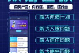 雅安雅安的要账公司在催收过程中的策略和技巧有哪些？